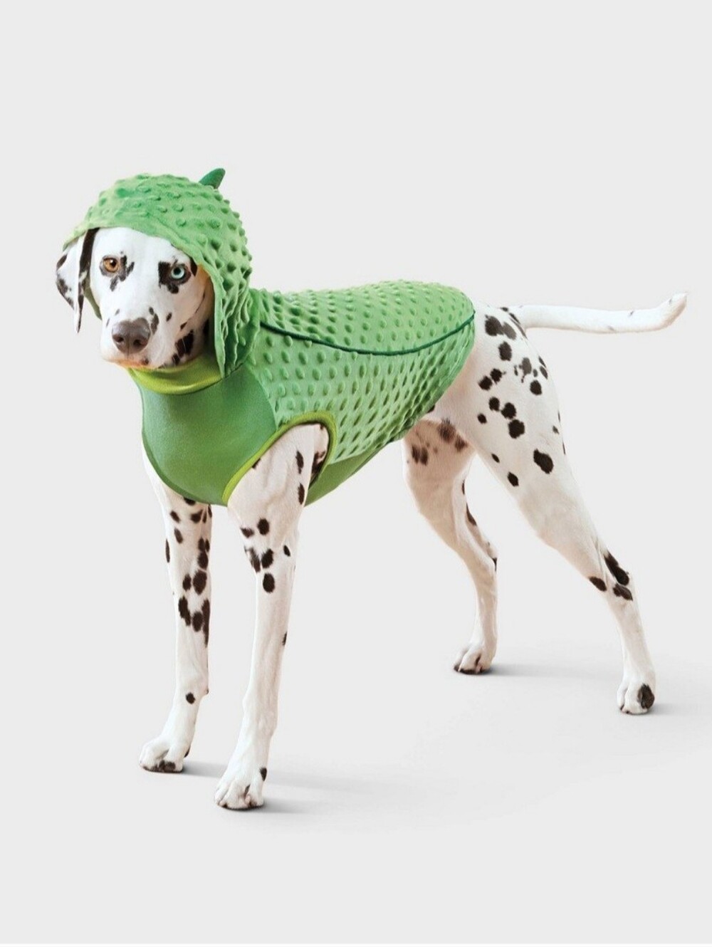 Dog Pickle Hoodie Halloween Costume